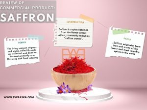 EVERASKA.COM